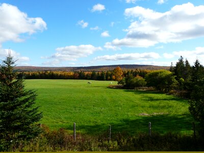 Canada nature green