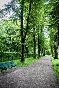 Forest nature seat