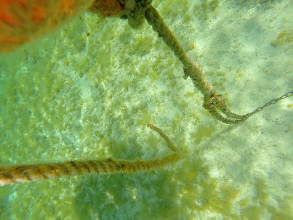 Water rusty round link chain