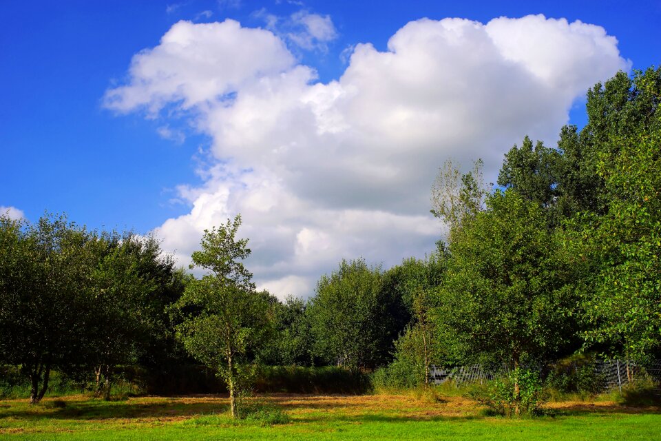 Meadow relaxation lawn