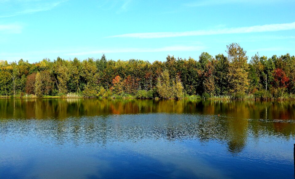 Trees nature water photo