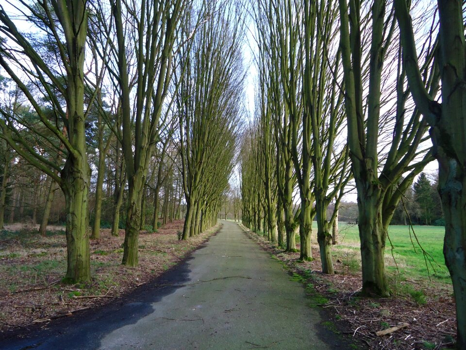 Landscape spring brasschaat