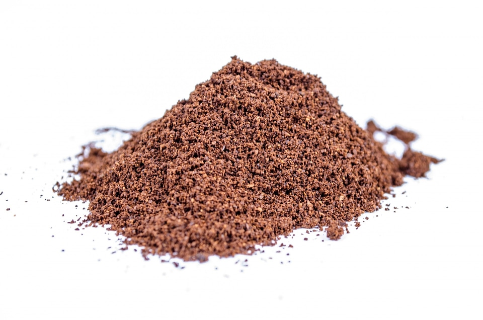 Cacao close-up isolated