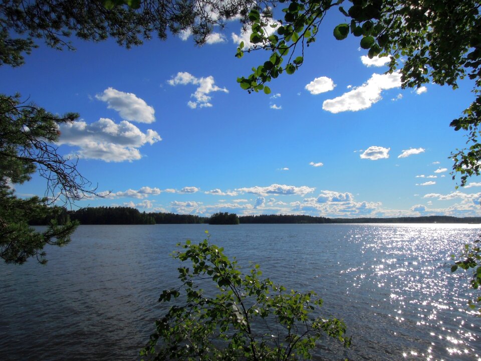 Lake wood sky photo