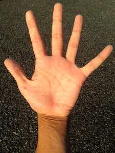 Bleaching palm reading young