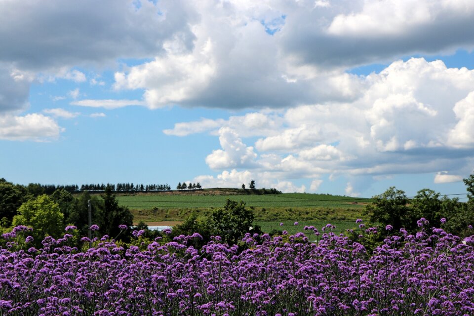 Japan landscape hokkaido