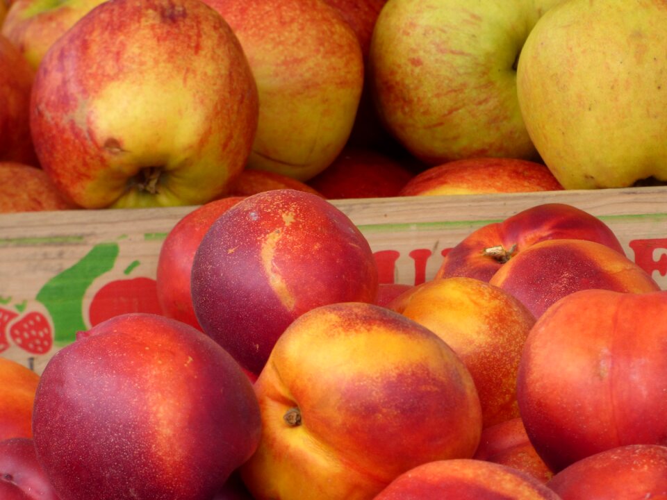 Fruit green food nature