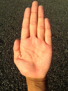 Bleaching palm reading young photo