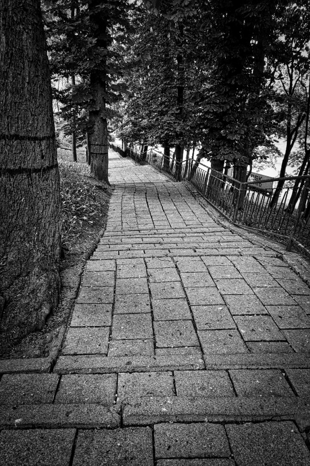 Direction pathway countryside