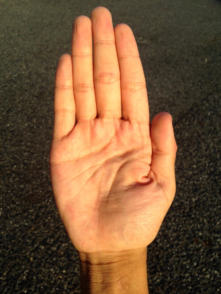 Bleaching palm reading young