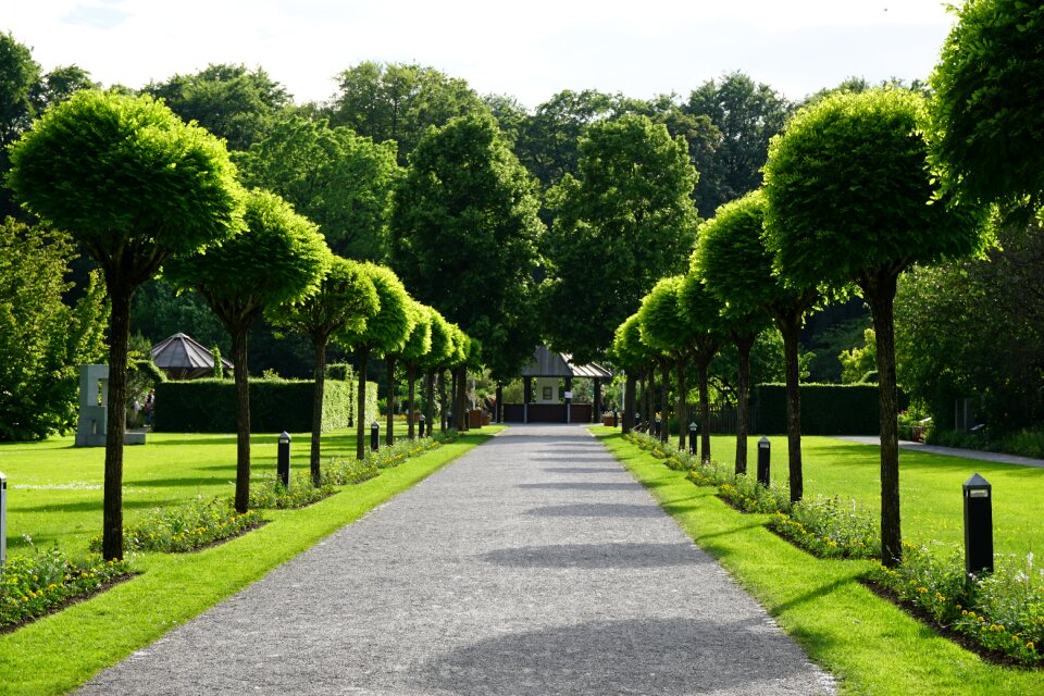 Germany tourism botanical