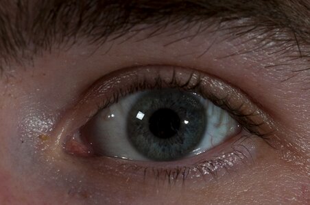 Vision eyesight human