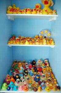 Collection yellow ducks