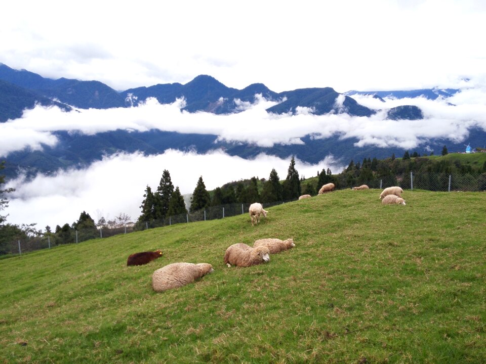 Cingjing landscape