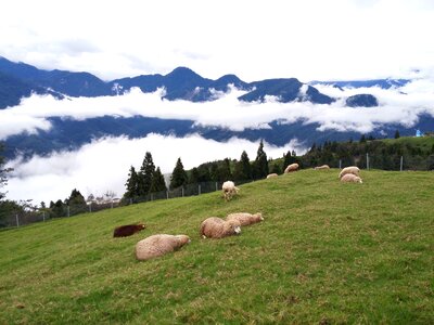 Cingjing landscape