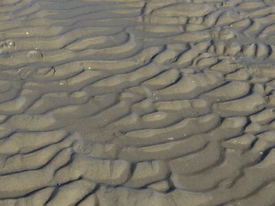 Waves sea sandy beach