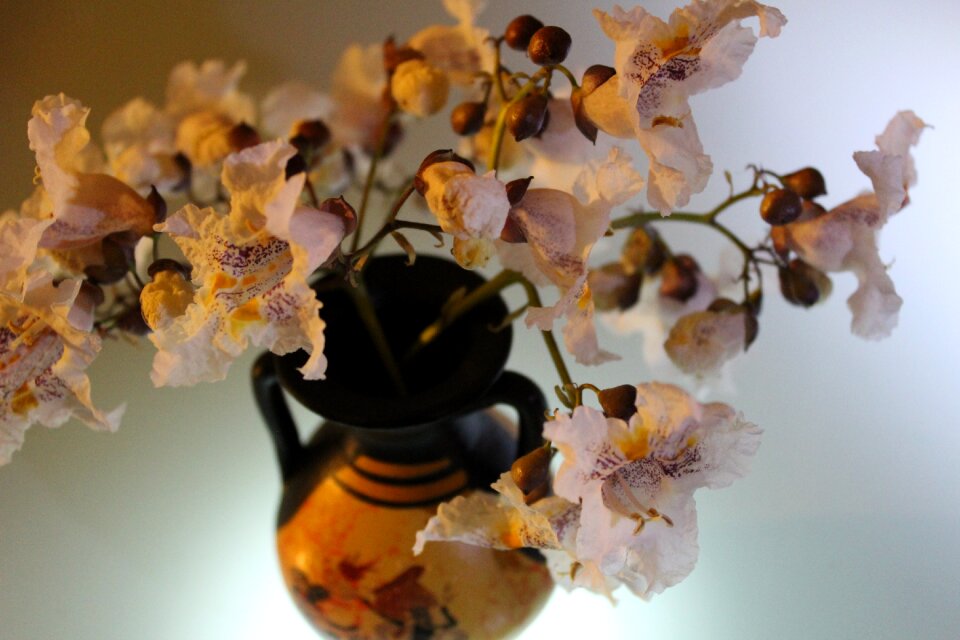Pitcher still life summer