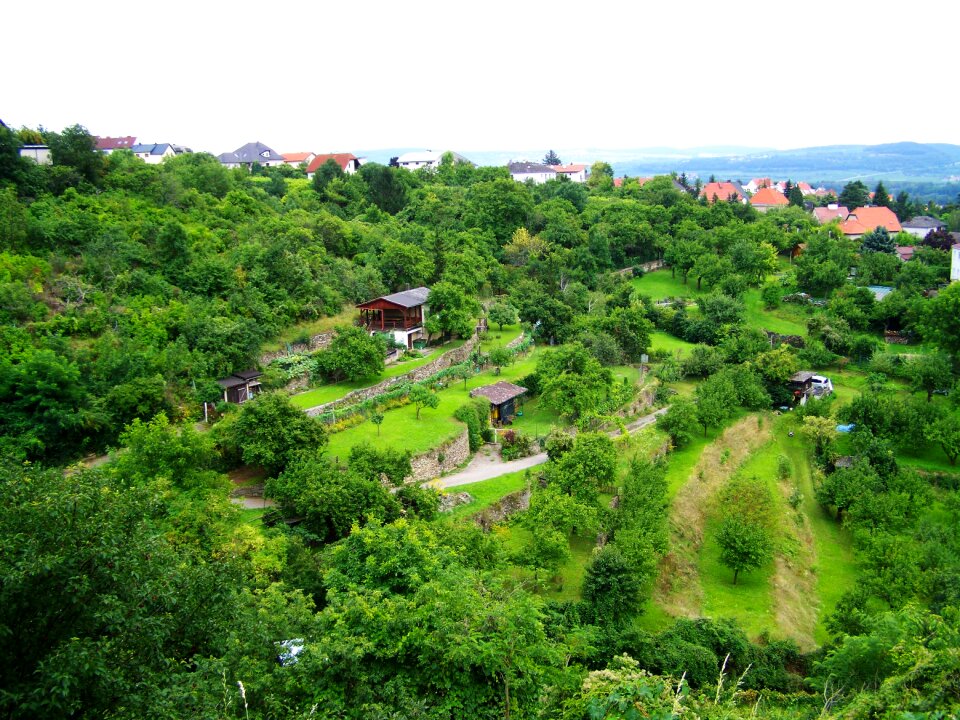 Terrace cultivation terraced gardens fruit austria