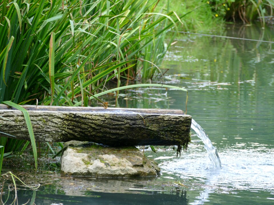 Landscape pond bank