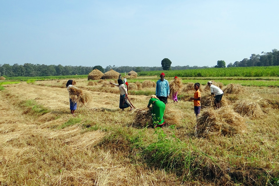 Kalghatgi dharwad india