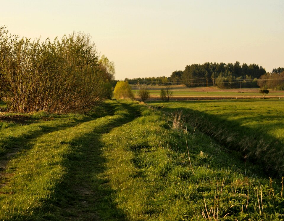 Village green nature
