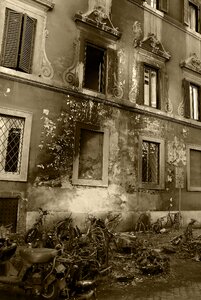Burned rose facade