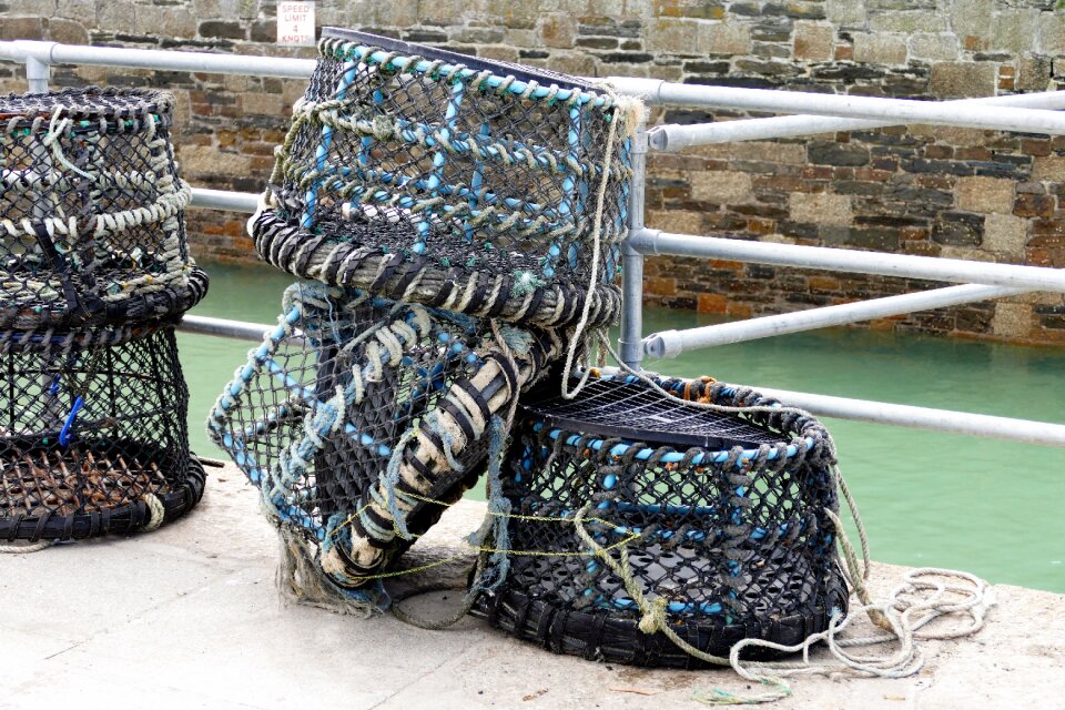 Crabbing fish water