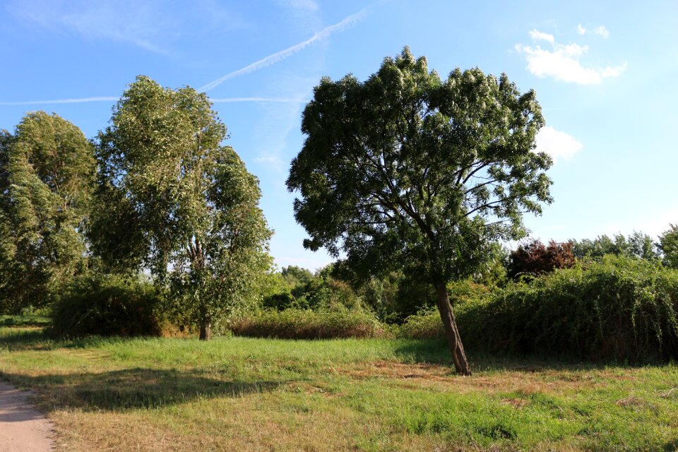 Green natural environment