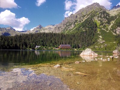 Nature travel forests