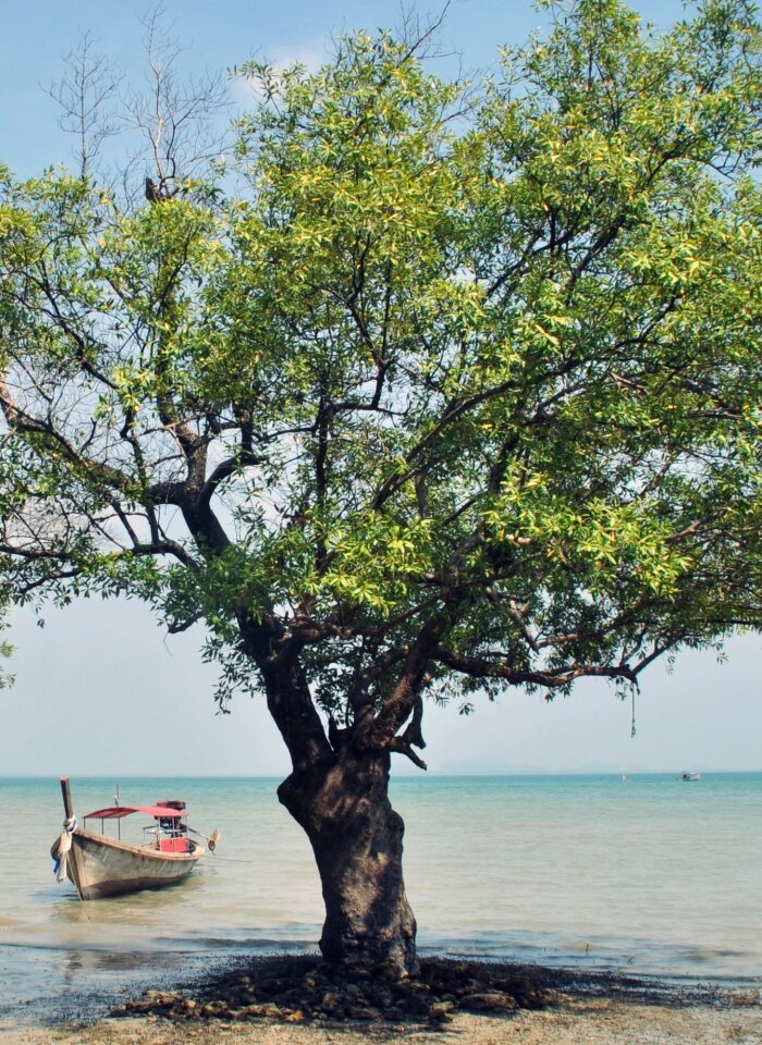 Asia ship thailand