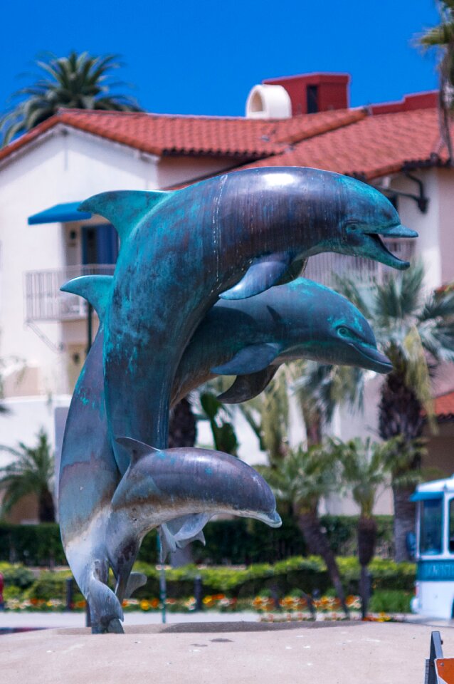 Architecture animal sea