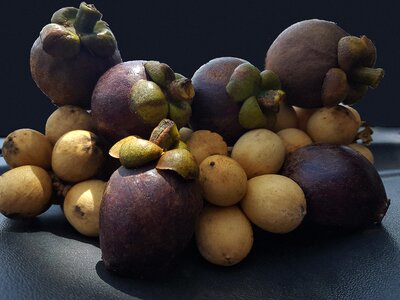 Freshness healthy tropical