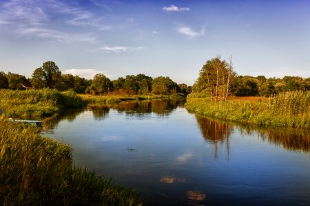 Nature water summer