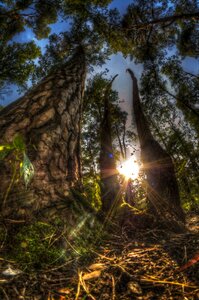 Nature landscape summer