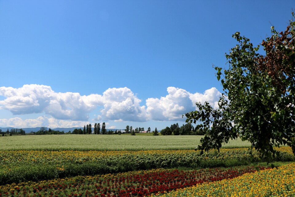 Landscape japan hokkaido