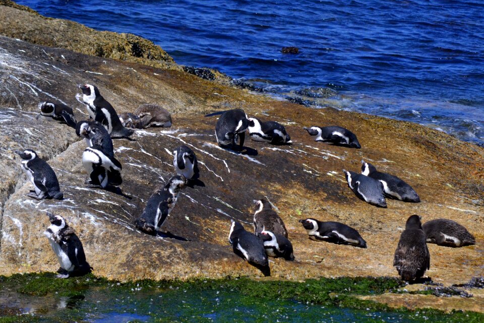 Ocean nature