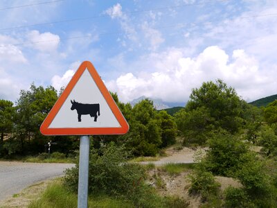 Road countryside landscape