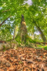 Nature landscape summer