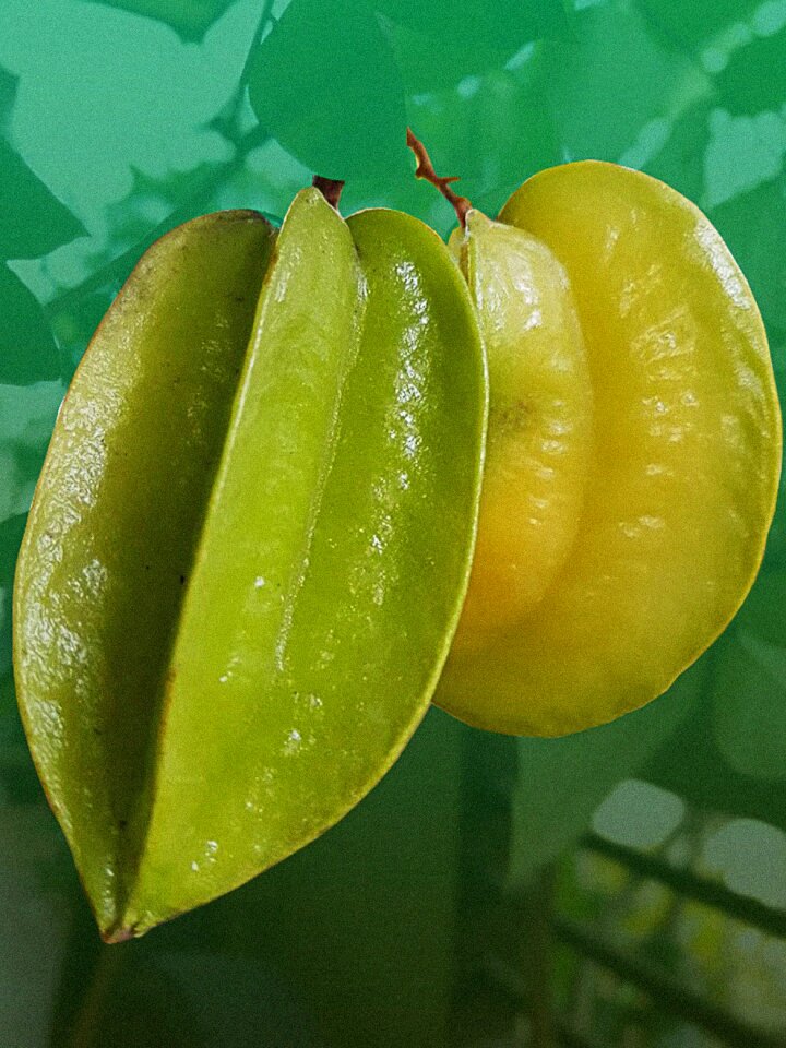Asian tropical juicy