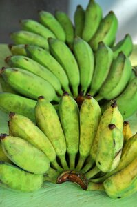 Fruit healthy vitamins