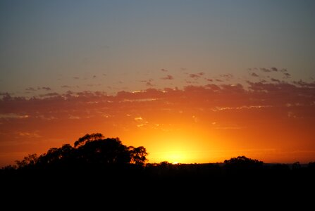 Dawn morning silhouette photo