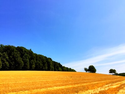 Landscape sumer dry