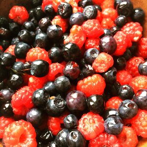 Berry raspberry blueberry
