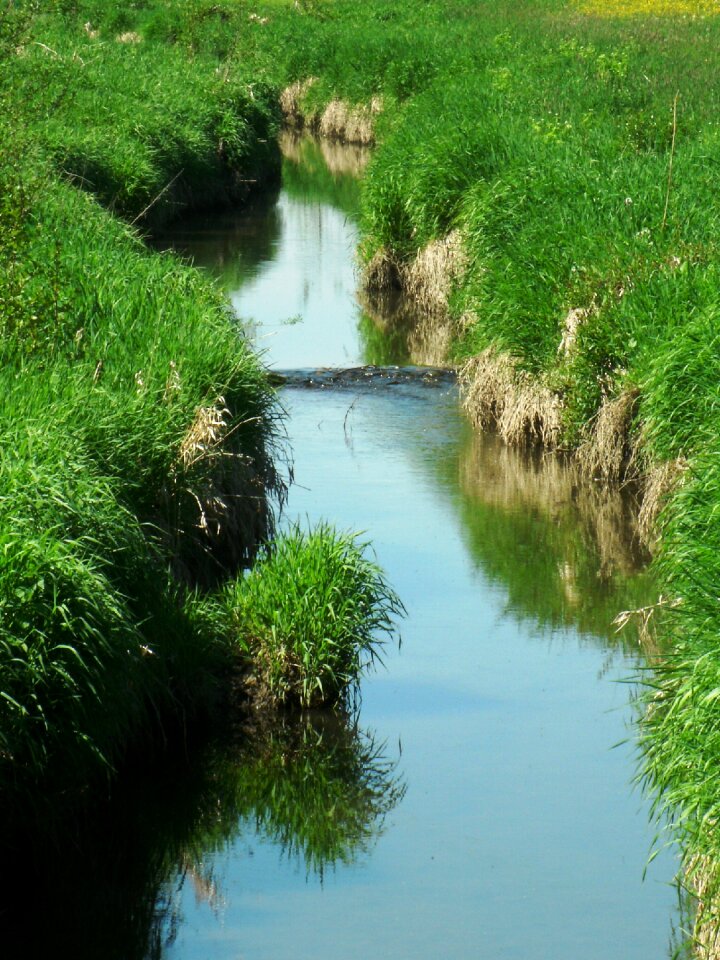 Bach nature splash