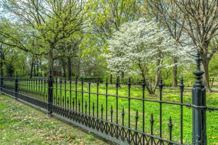 Fence nature landscape