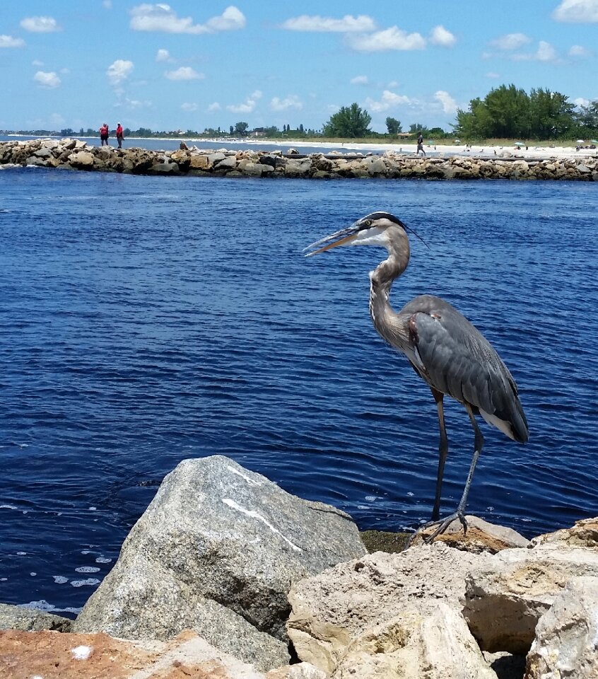 Nature florida