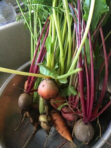 Fresh organic
