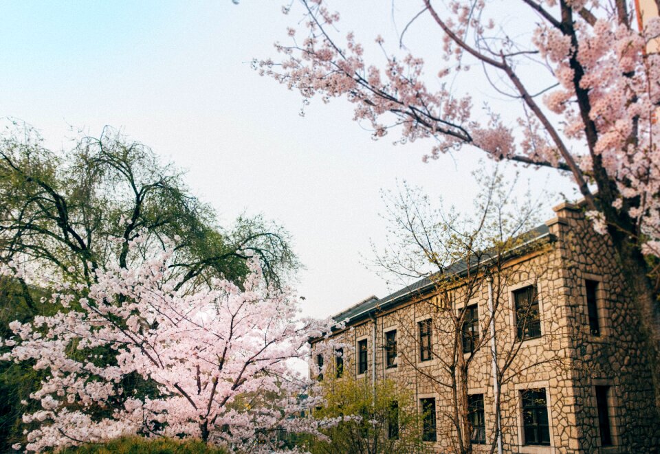 Chung-ang university spiritual pipe landscape