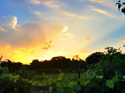 Sunset abendstimmung sky