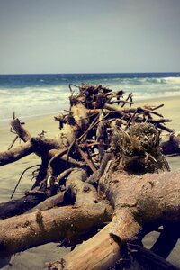 Nature ocean background